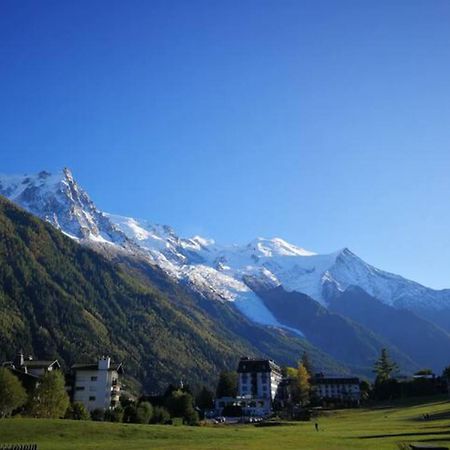 Le Savoy - Terrasse Avec Vue Sur Le Mont-Blanc Apartment Chamonix ภายนอก รูปภาพ